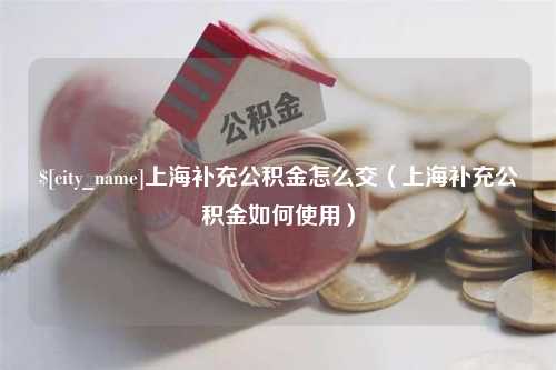 邯郸上海补充公积金怎么交（上海补充公积金如何使用）